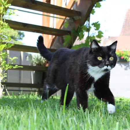 La Au Bain Perche Holiday home Aspach