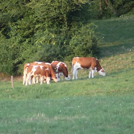 La Au Bain Perche Aspach