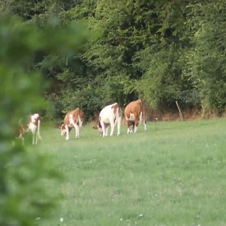 La Au Bain Perche * Aspach