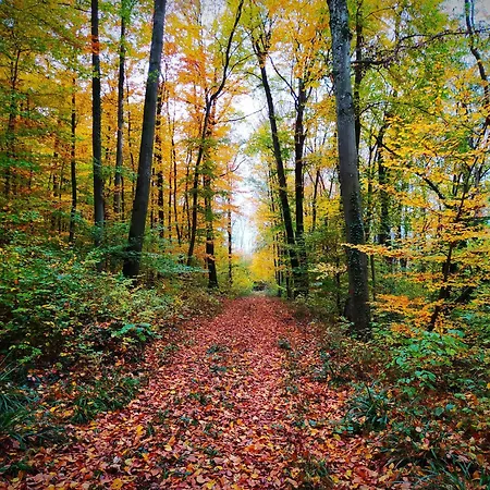La Au Bain Perche Holiday home *