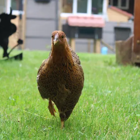 Dom wakacyjny La Au Bain Perche *