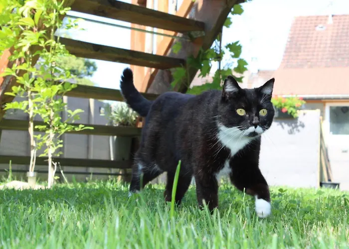 La Au Bain Perche Dom wakacyjny Aspach