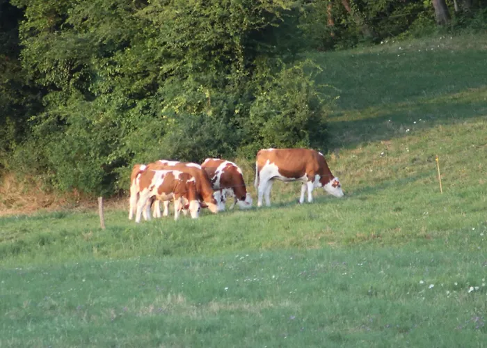 La Au Bain Perche Aspach