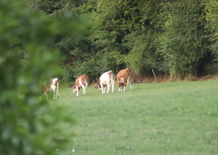 La Au Bain Perche * Aspach