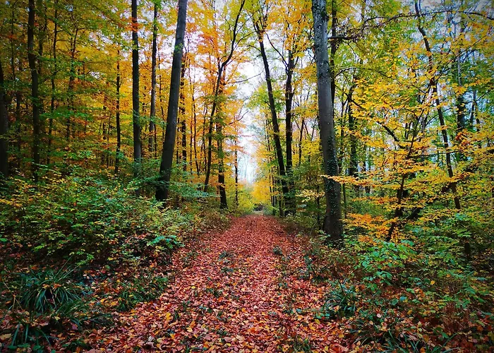 La Au Bain Perche Dom wakacyjny *