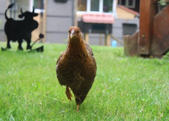 Dom wakacyjny La Au Bain Perche *
